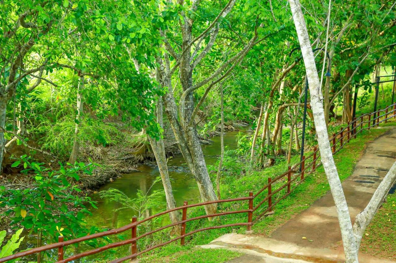 Doola River Edge Udawalawe Exterior foto